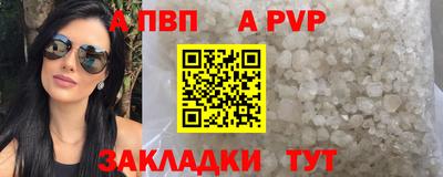шишки Тара