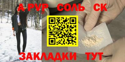 шишки Тара