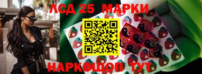 шишки Тара