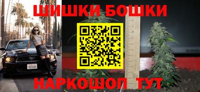 шишки Тара