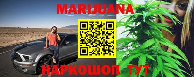 шишки Тара