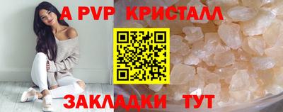 шишки Тара