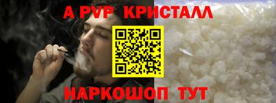 шишки Тара