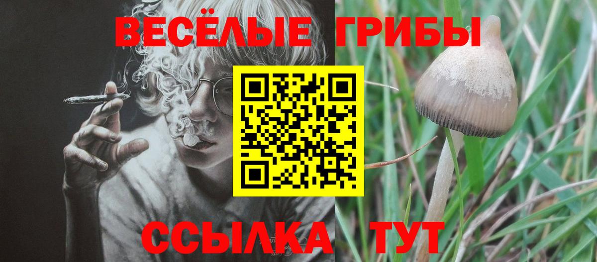 Орехово-Зуево  Псилоцибиновые грибы MAGIC MUSHROOMS  Вход с VPN  Галлюциногенные грибы Magic Shrooms 